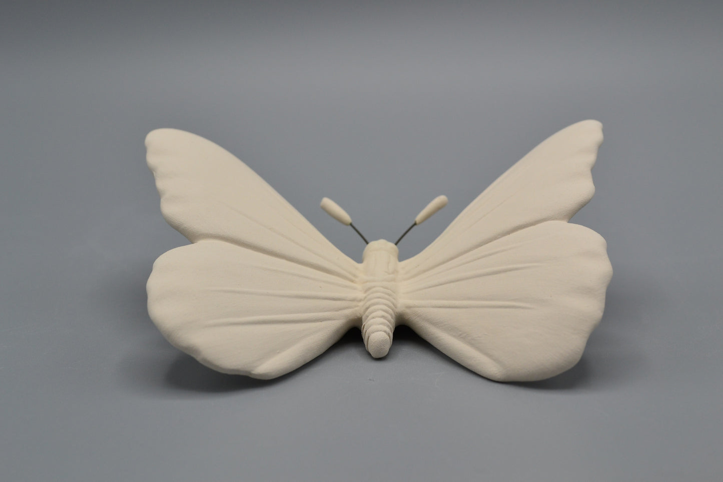 Farfalla in ceramica semilavorata GREZZA da dipingere
